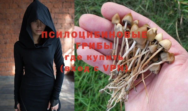 экстази Арсеньев