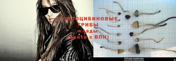 прущая мука Армянск