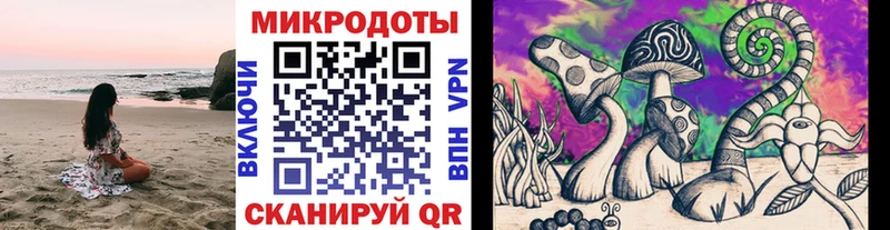 Галлюциногенные грибы прущие грибы  Гуково 