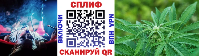 где найти   Гуково  Каннабис MAZAR 